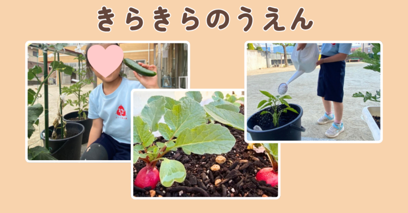 きらきらのうえんの様子の画像