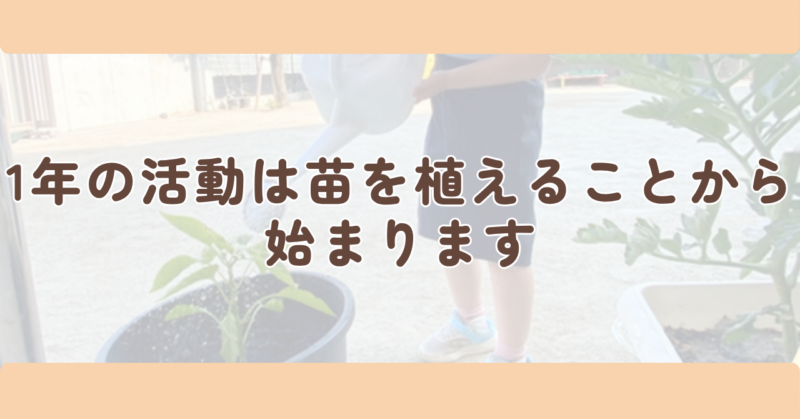1年の活動は苗を植えるところから始まりますの見出し下画像